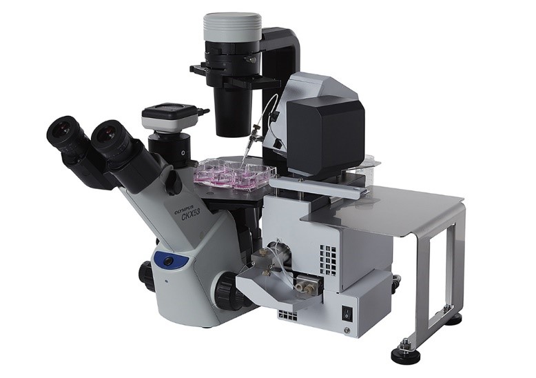 1569804866685880.jpg 1.jpg