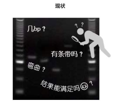 1583807928252447.jpg 10-7.JPG