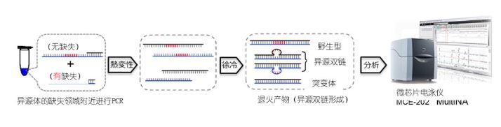 1583807999542323.jpg 10-10.JPG