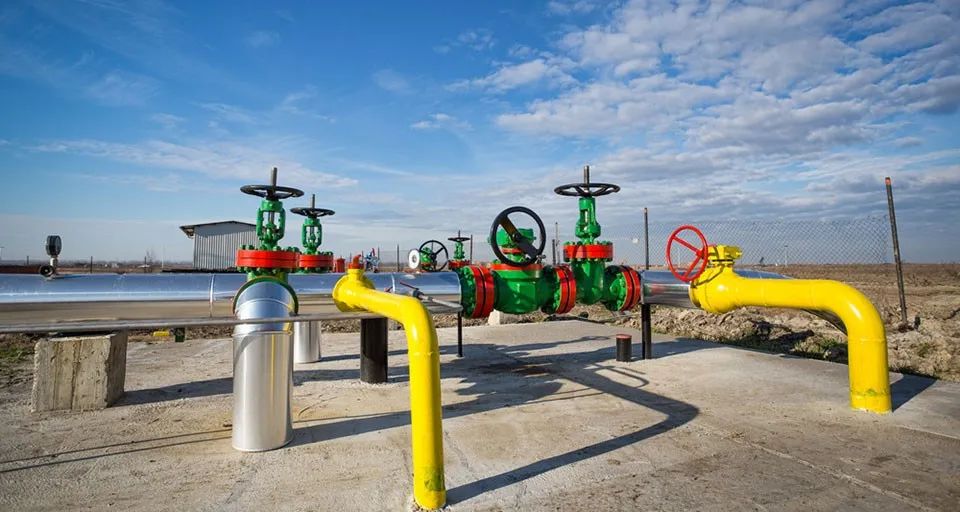 1584410293439576.jpg 0317-1.jpg