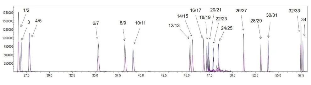 1584668318992180.jpg 20-13.jpg