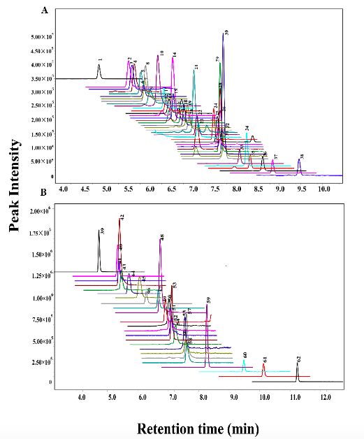 1585100421189655.jpg 0325-7.jpg
