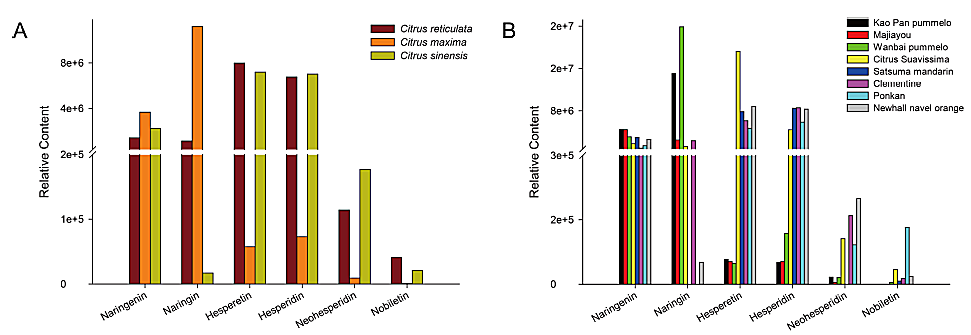 1585189323807853.png 26-5.png