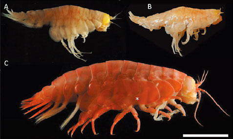 1589764788953365.jpg 0518-2.jpg