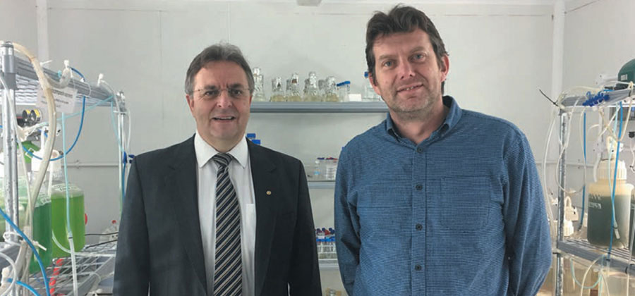 1589764860887853.jpg 0518-4.jpg