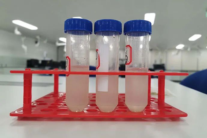 1590025742139482.jpg 21-3.jpg