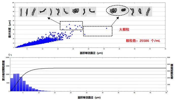 1590371530255696.jpg 0525-7.jpg