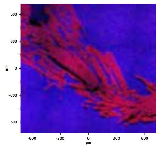 1591235284869049.jpg 04-7.jpg