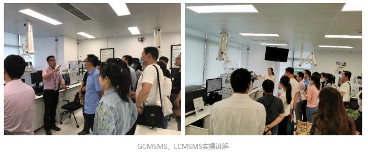 1591578941546054.jpg 0608-3.JPG