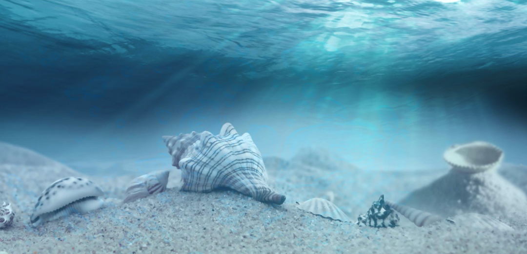 1591929540281511.png 0612-1.png