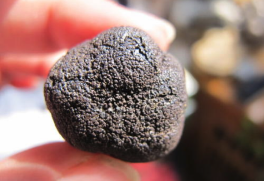 1592269827561888.png 16-1.png