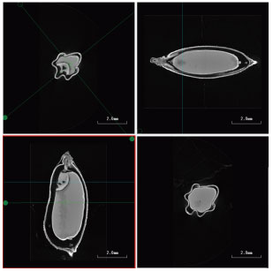 1597717698198293.jpg 0818-3.jpg