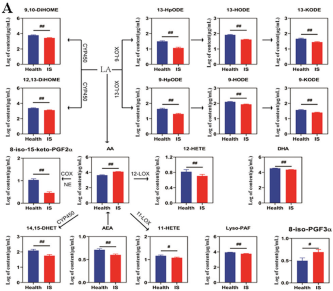 1599527886767286.png 08-5.png