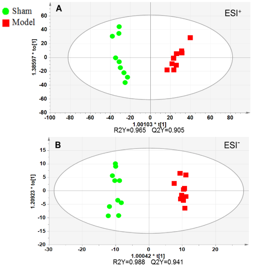 1599528181344416.png 08-7.png