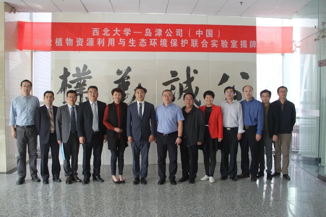 1601122417793989.jpg 3.webp.jpg