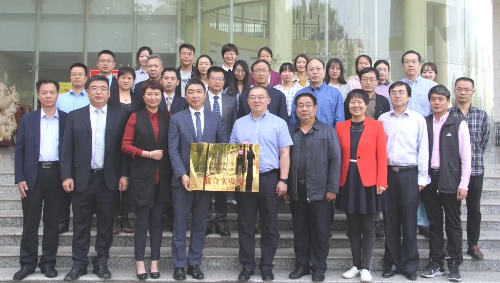 1601122601155662.jpg 11.webp.jpg