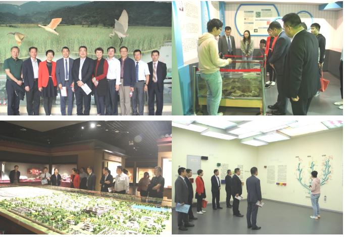 1601122629208981.jpg 12.JPG