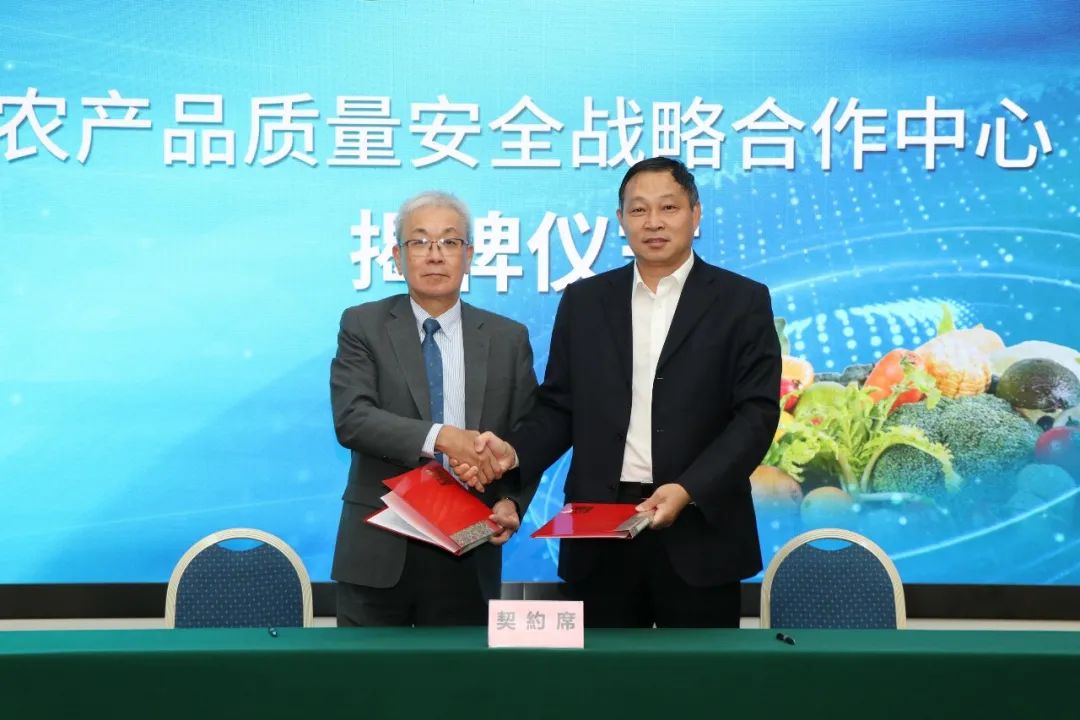 1602810256571276.jpg 7.jpg