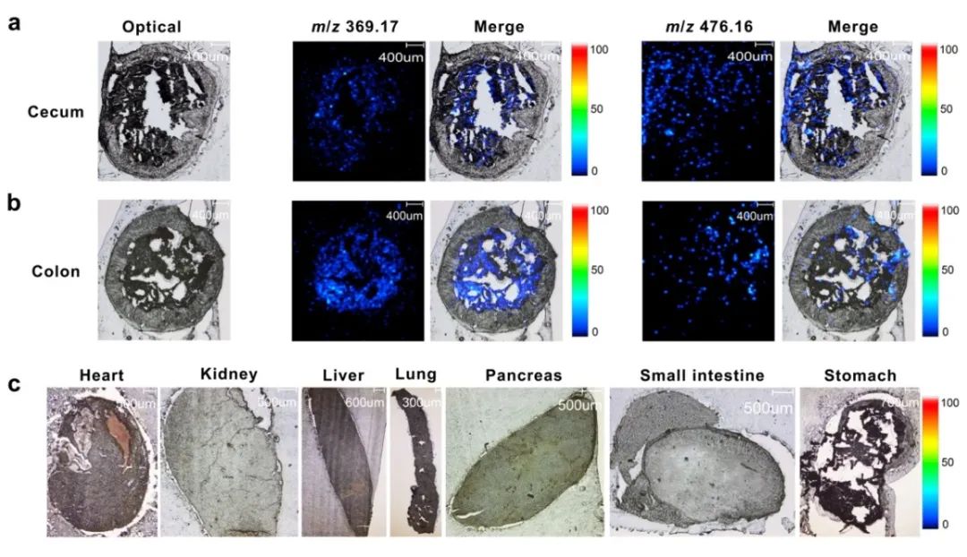 1606704136505766.jpg 4.jpg