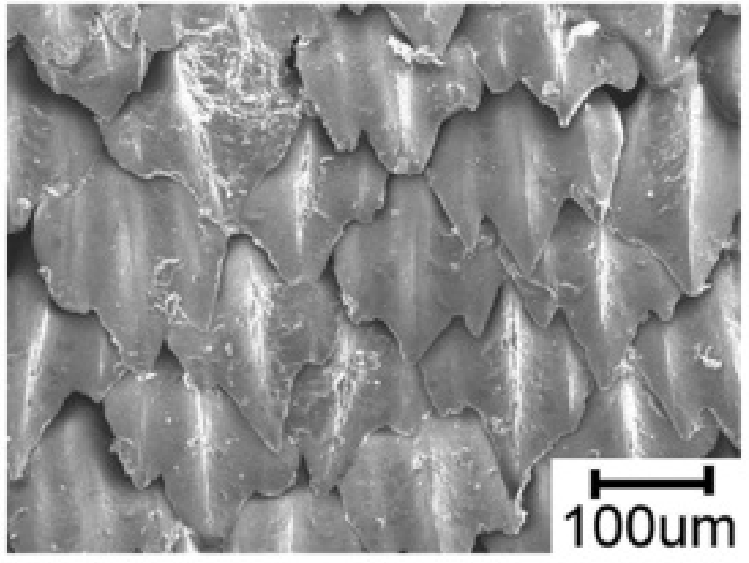 1606785617380081.png 2.png