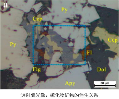 1607756875525812.png 5.png