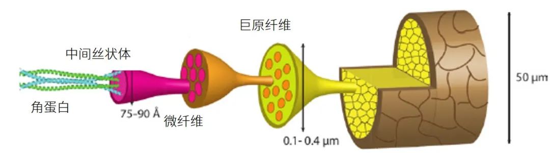 1608255112267977.jpg 2.jpg