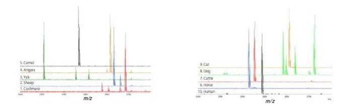 1608255328661069.jpg 8.jpg