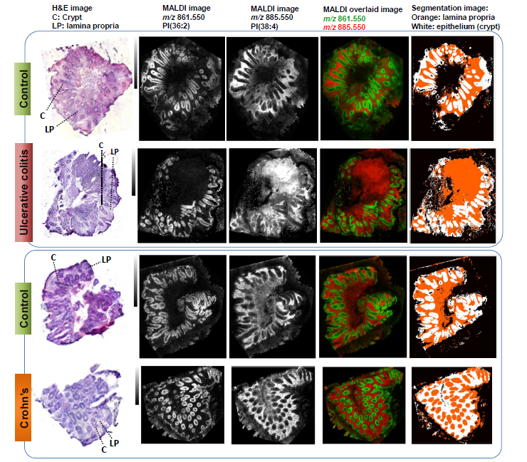 1609807631667210.png 2.png