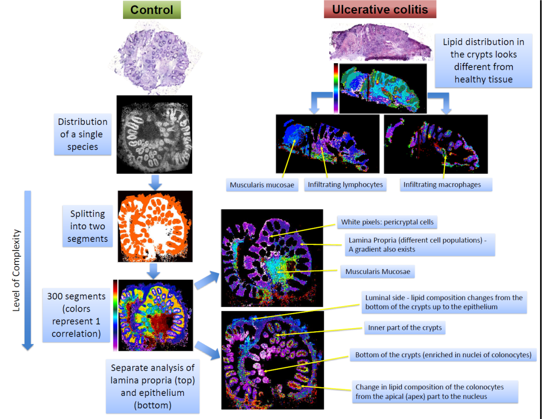 1609807677612455.png 4.png