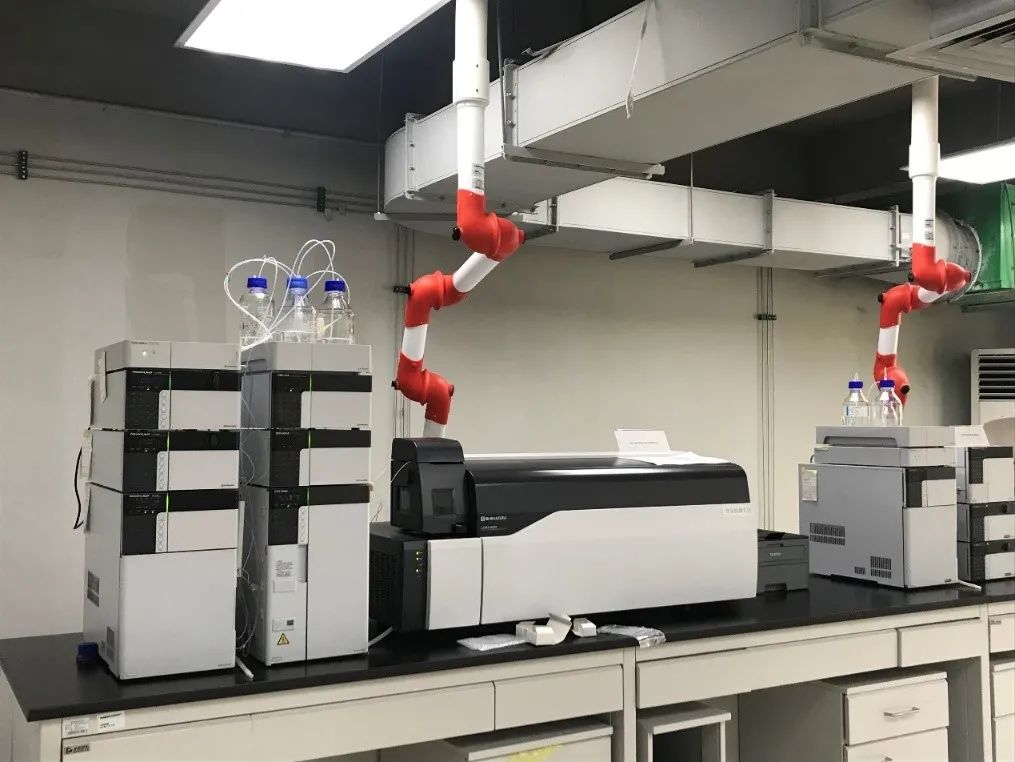 1610331096178999.jpg 3.jpg