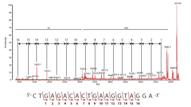 1610677885877897.jpg 5.jpg