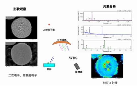 1611195740180029.jpg 2.JPG