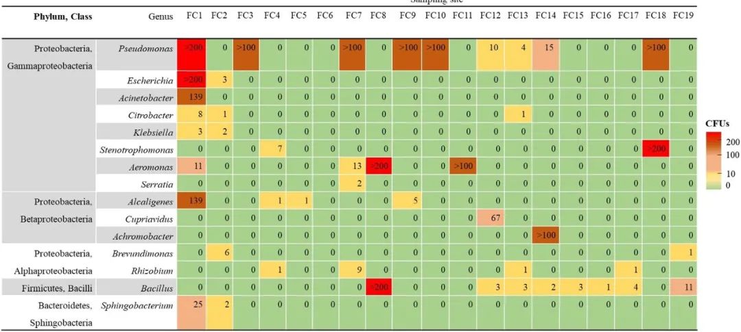 1611282386573451.jpg 3.jpg