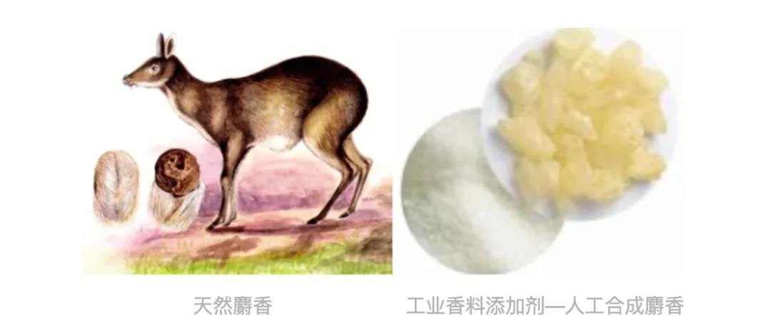 1611541043150517.jpg 2.jpg