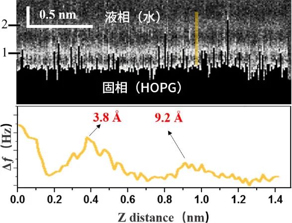 1611624763780456.jpg 7.jpg