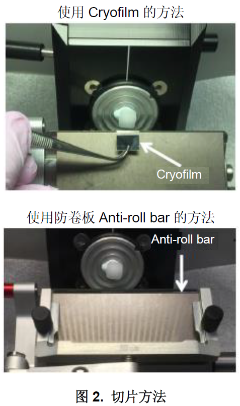 1611711945990039.png 4.png