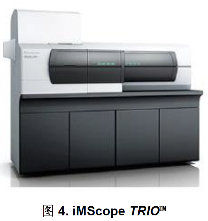 1611712004713812.png 6.png