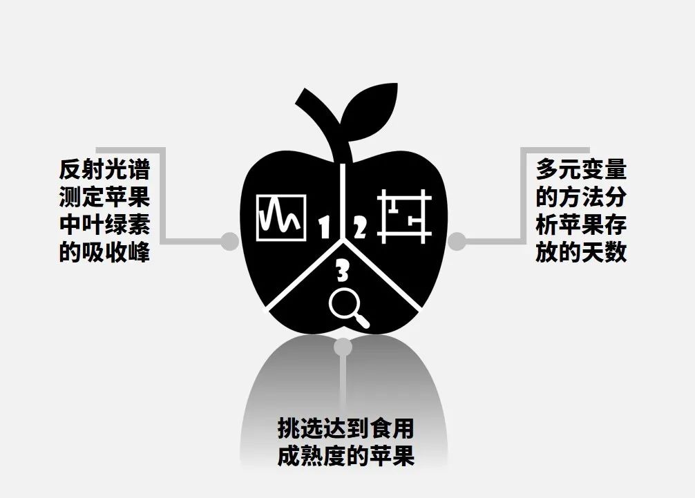 1611798203137541.jpg 2.jpg