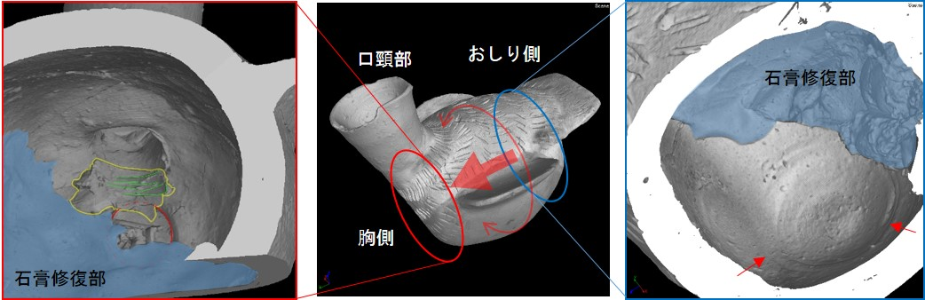 1612228052603785.png 2.png