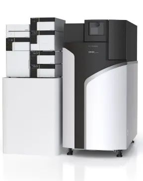 1612486484220811.jpg 2.jpg