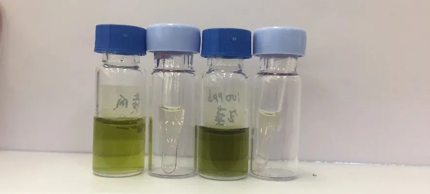 1612661766493971.jpg 4.jpg