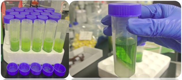 1612661893967854.png 6.png