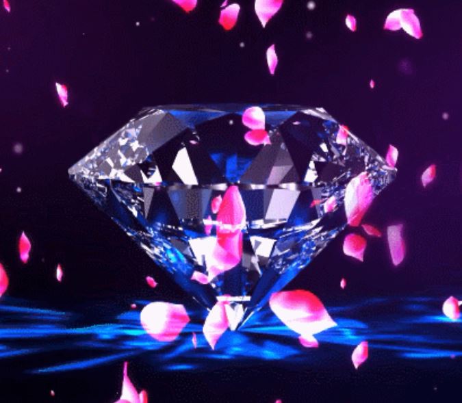 1613617028661287.jpg 1.JPG