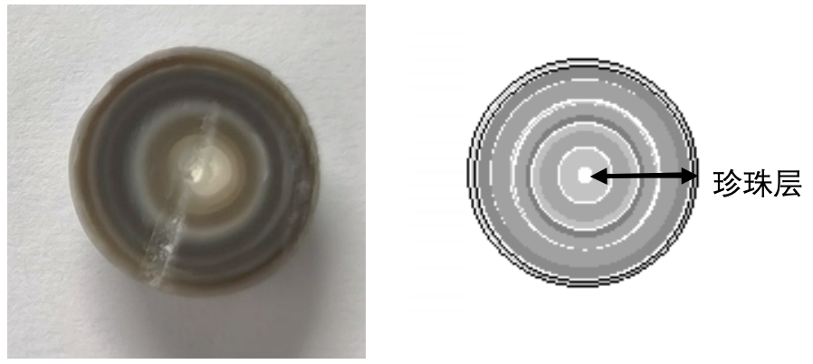 1613699476628736.png 2.png