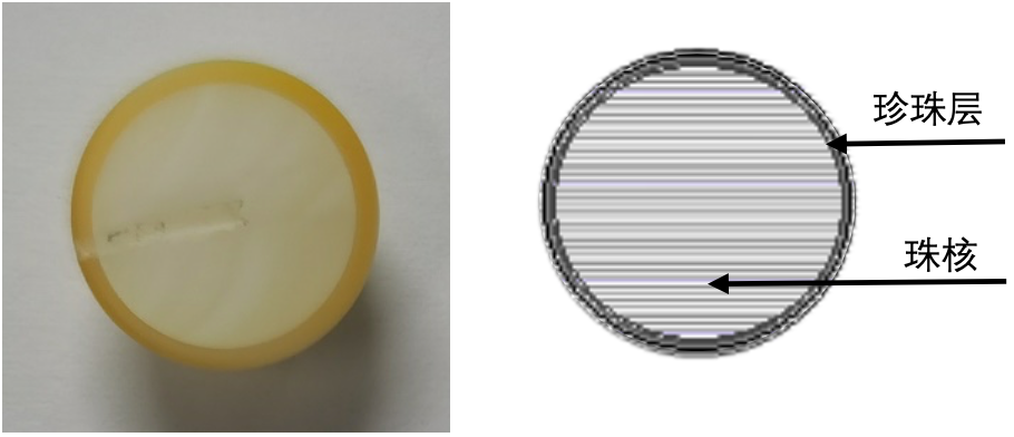 1613699500350464.png 3.png