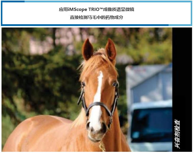 1614130393613773.jpg 2.JPG