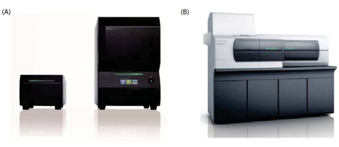 1614130442362250.png 4.png