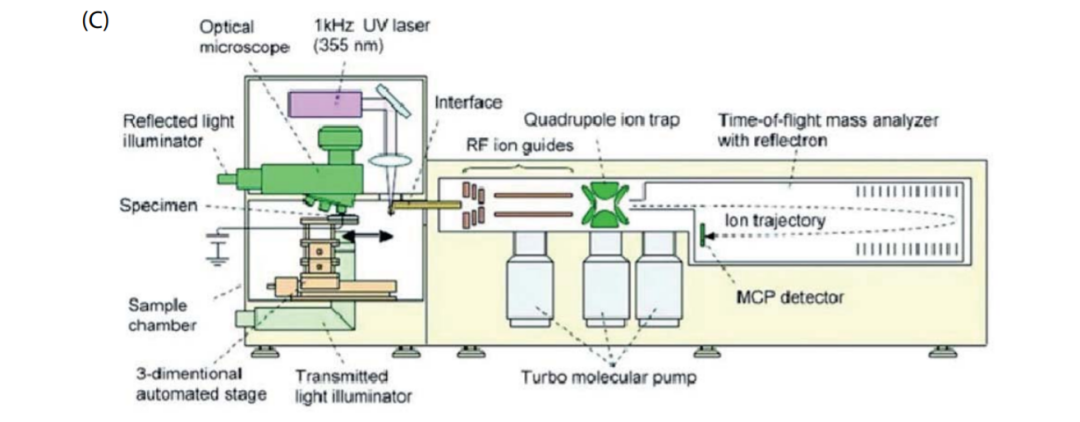 1614130450568946.png 5.png