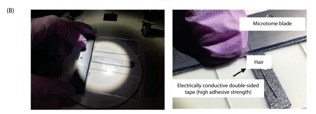 1614130485167914.png 7.png