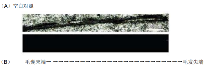 1614130605162456.png 11.png